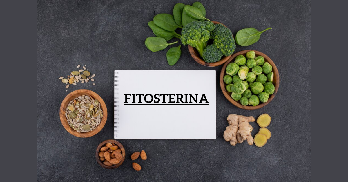 Fitosterina: A Comprehensive Guide to Phytosterols and Their Health Benefits