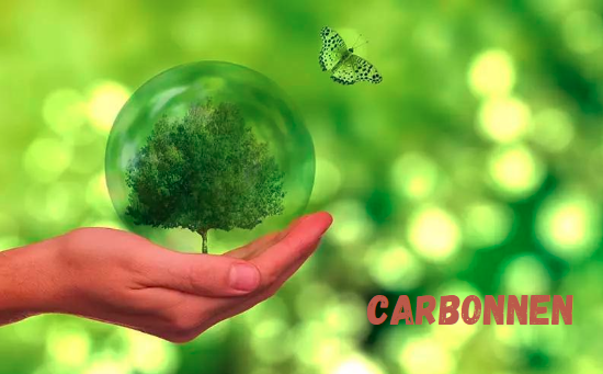 Carbonnen: The Revolutionary Carbon Allotrope Transforming Science and Industry