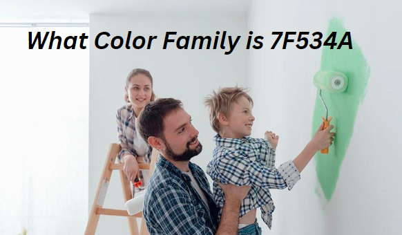 What Color Family is 7F534A